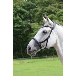 Rebecca BLING Sidepull Bitless Bridle & Reins
